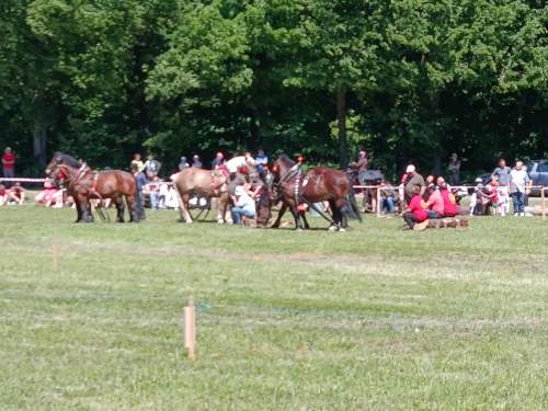 IMG_20260523_141304